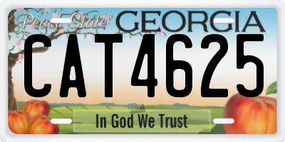 GA license plate CAT4625