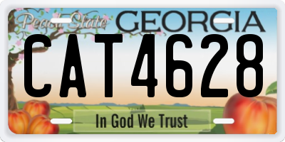 GA license plate CAT4628