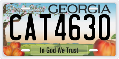 GA license plate CAT4630