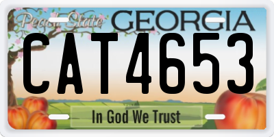 GA license plate CAT4653