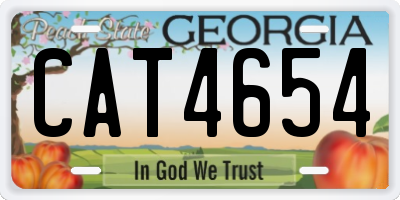 GA license plate CAT4654