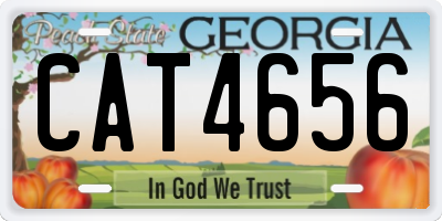 GA license plate CAT4656
