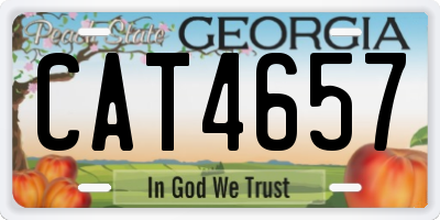 GA license plate CAT4657