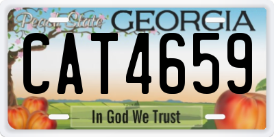 GA license plate CAT4659
