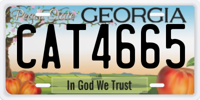 GA license plate CAT4665