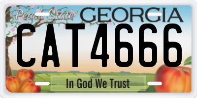 GA license plate CAT4666