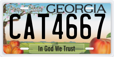 GA license plate CAT4667