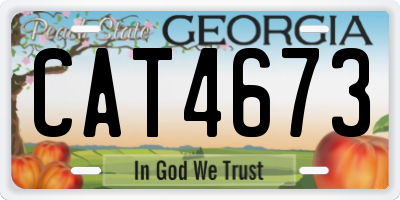 GA license plate CAT4673