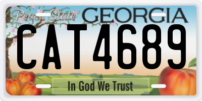 GA license plate CAT4689