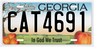 GA license plate CAT4691