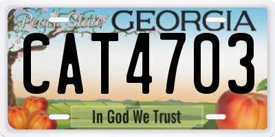 GA license plate CAT4703
