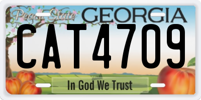 GA license plate CAT4709
