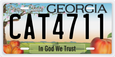 GA license plate CAT4711