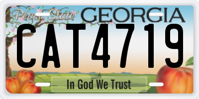 GA license plate CAT4719