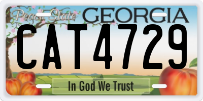 GA license plate CAT4729
