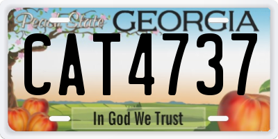 GA license plate CAT4737