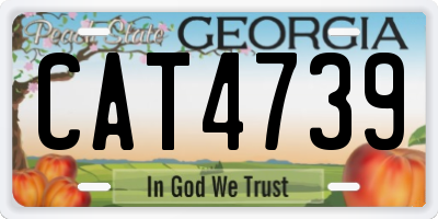 GA license plate CAT4739