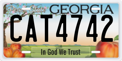 GA license plate CAT4742