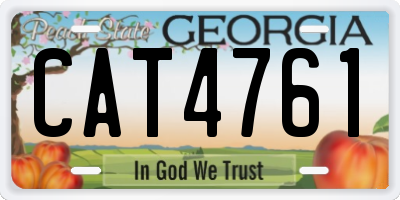 GA license plate CAT4761