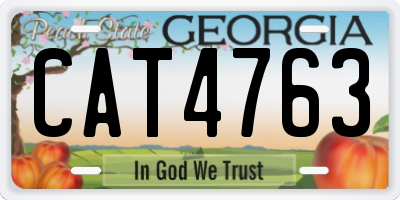 GA license plate CAT4763