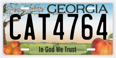 GA license plate CAT4764