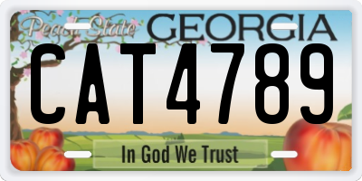 GA license plate CAT4789