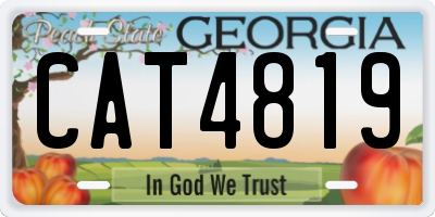 GA license plate CAT4819