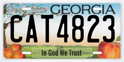 GA license plate CAT4823