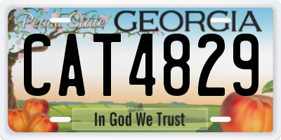 GA license plate CAT4829
