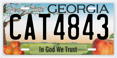 GA license plate CAT4843