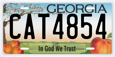 GA license plate CAT4854