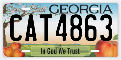 GA license plate CAT4863