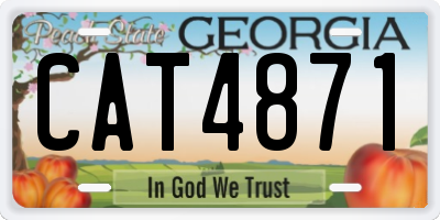 GA license plate CAT4871