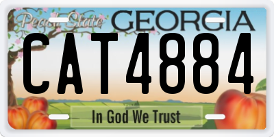 GA license plate CAT4884