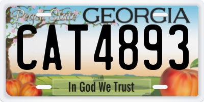 GA license plate CAT4893