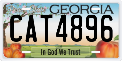 GA license plate CAT4896