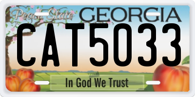 GA license plate CAT5033
