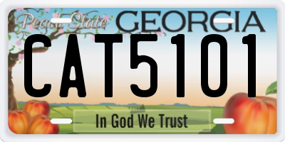 GA license plate CAT5101