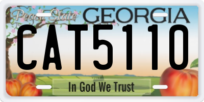 GA license plate CAT5110