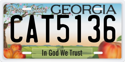 GA license plate CAT5136