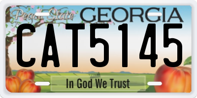 GA license plate CAT5145