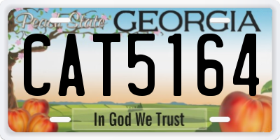 GA license plate CAT5164