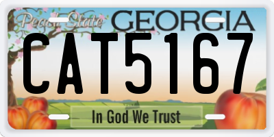 GA license plate CAT5167