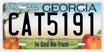 GA license plate CAT5191