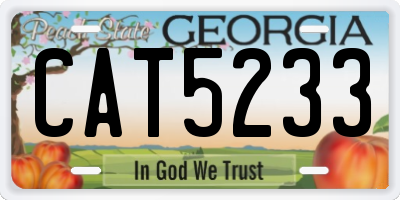 GA license plate CAT5233