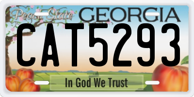 GA license plate CAT5293