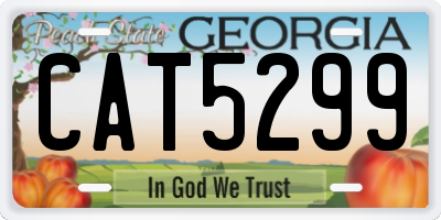 GA license plate CAT5299