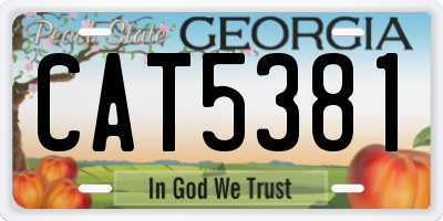 GA license plate CAT5381