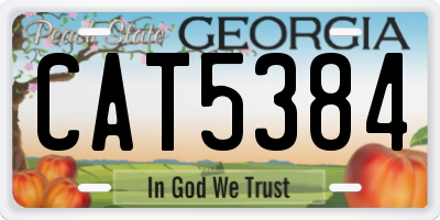 GA license plate CAT5384