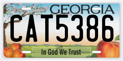 GA license plate CAT5386
